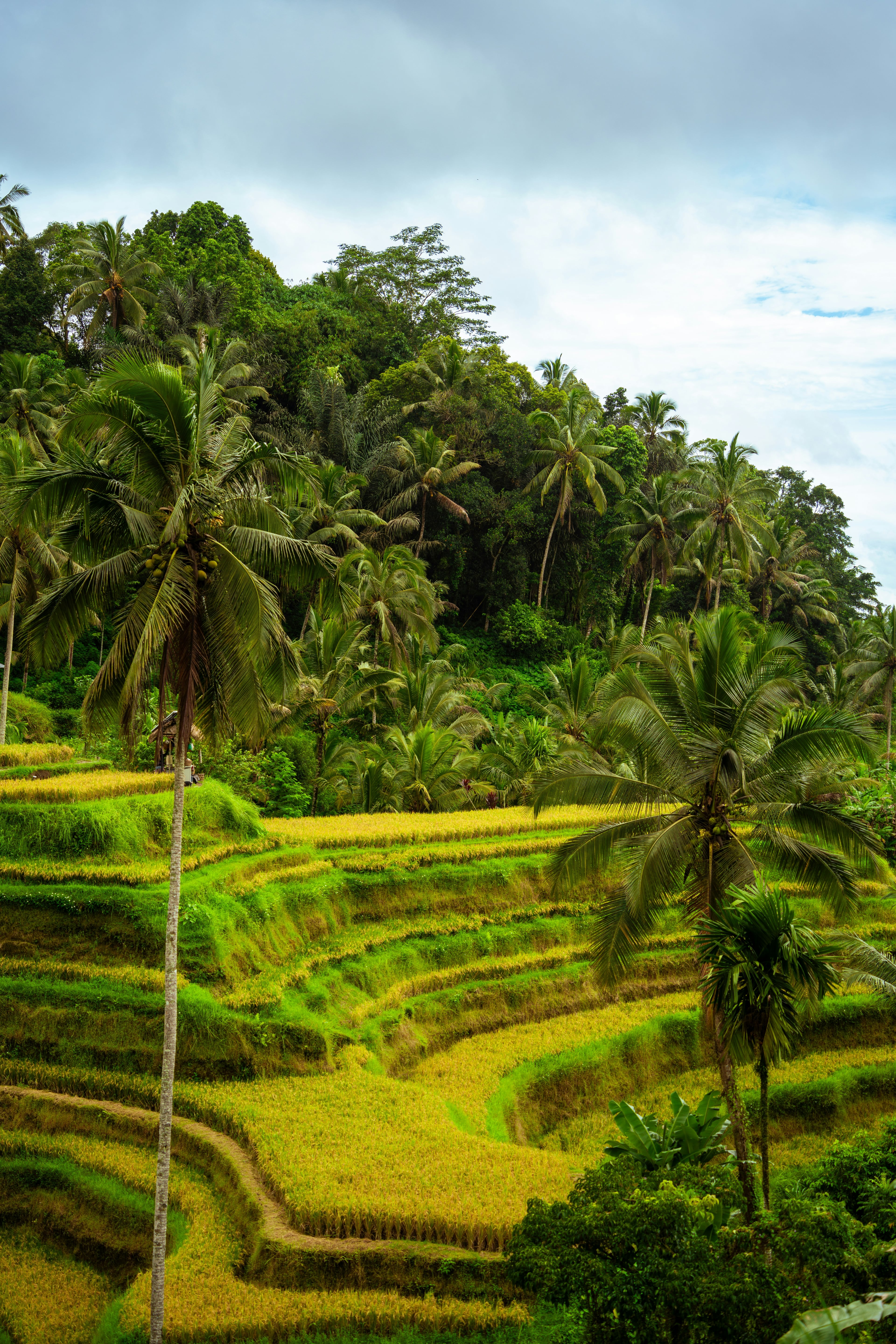 Bali